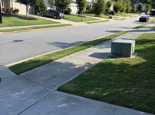 Shucona H.'s grass cutting service result