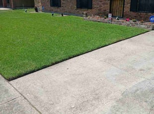 Allyson C.'s grass maintenance service result