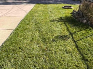 Suzanne S.'s grass maintenance service result