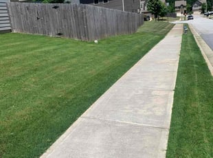 Kaila J.'s grass maintenance service result