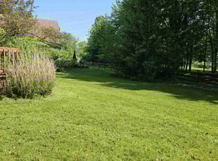 Steve B.'s lawn care service result