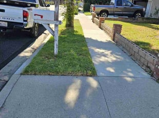 Elizabeth G.'s turf care service result