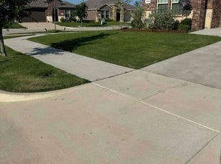 Abay Z.'s yard service service result