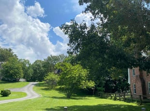 Glen J.'s lawn service service result