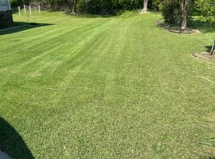 Aisha H.'s turf maintenance service result