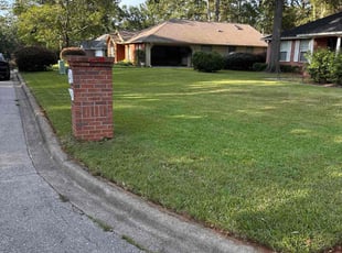 Jacqueline B.'s grass cutting service result