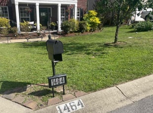 Randy M.'s lawn maintenance service result