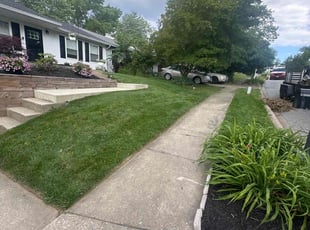 Carol C.'s yard care service result