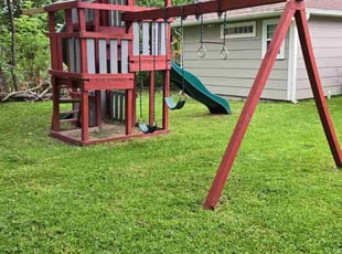 LeNita B.'s lawn care service result