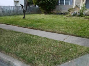 Belle C.'s lawn care services service result