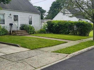 Mishawn B.'s grass cutting service result