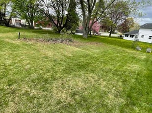 Rob D.'s grass cutting service result