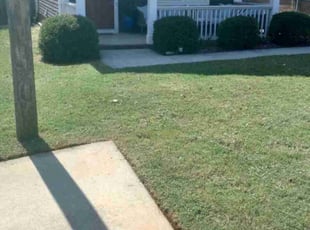 Novlet W.'s lawn service service result