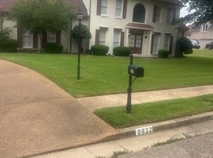 Zarria B.'s lawn maintenance service result