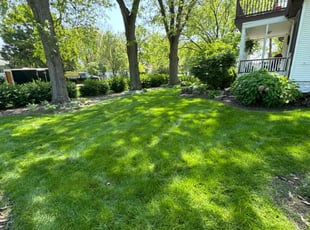 Miller F.'s grass maintenance service result