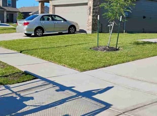 Michelle M.'s lawn maintenance service result