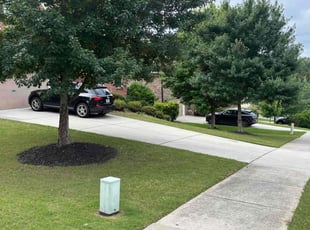 Heather S.'s turf care service result