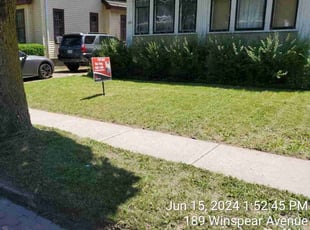 Diana M.'s turf maintenance service result