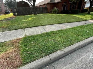 William M.'s lawn care service result