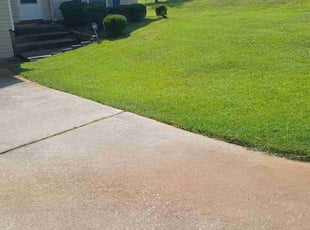 Jonathan B.'s grass cutting service result