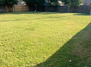 Danielle B.'s lawn maintenance service result
