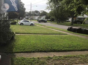 Robin B.'s lawn maintenance service result