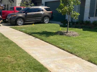 Jillian C.'s lawn care services service result