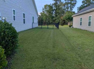 Dominick K.'s lawn service service result