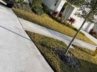Michael P.'s lawn service service result