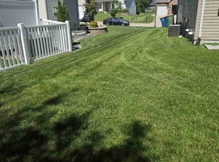 Bob B.'s lawn care service result