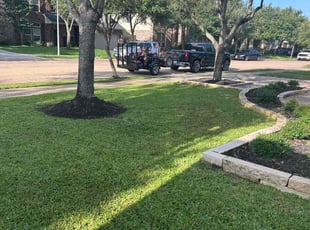 Demmy S.'s lawn maintenance service result