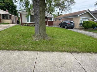 Leo R.'s lawn maintenance service result