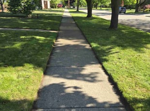 Niera S.'s lawn care service result