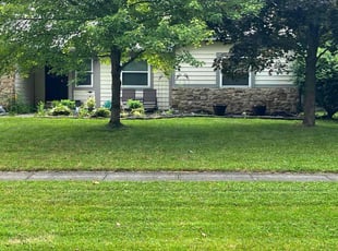 Todd S.'s lawn care services service result