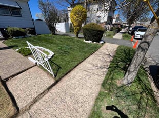 Tahara J.'s lawn service service result