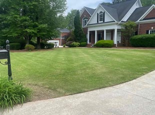 Rachel S.'s lawn care services service result