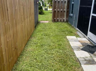 David W.'s grass maintenance service result