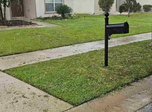 Gary H.'s lawn service service result