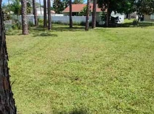 Giancarlo P.'s grass maintenance service result