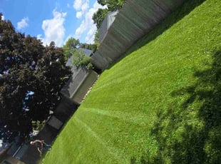 Jordan M.'s landscape maintenance service result