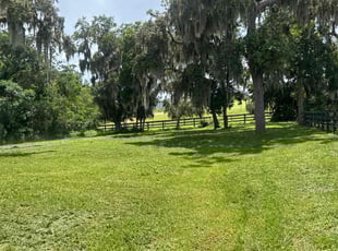 Anthony W.'s lawn service service result