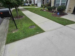 Christina S.'s grass cutting service result
