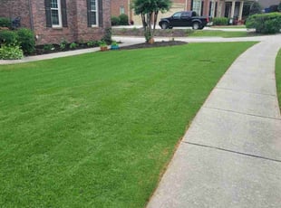 Vicki P.'s lawn care service result