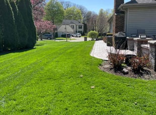 Taeko G.'s lawn care service result