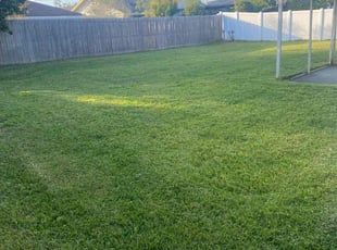 Roberta W.'s grass cutting service result