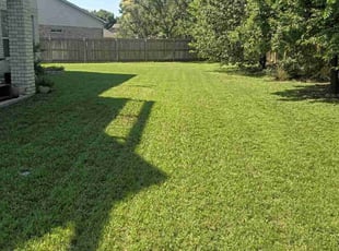 Gaybrielle T.'s lawn care service result