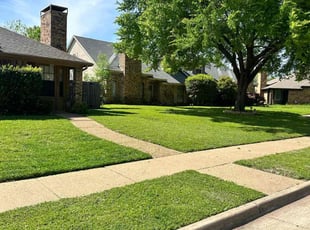 Edward D.'s lawn maintenance service result