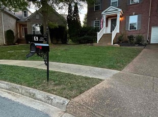 Jason L.'s grass cutting service result