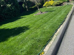 Omari M.'s turf maintenance service result