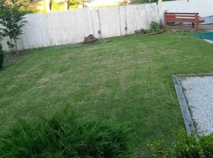 Stephen R.'s lawn care services service result